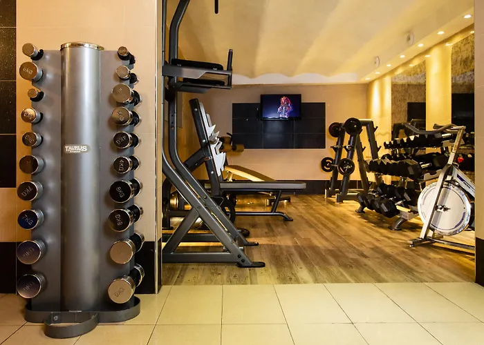 بيت شباب سانت اكزوبري بيتش هوستال نيس